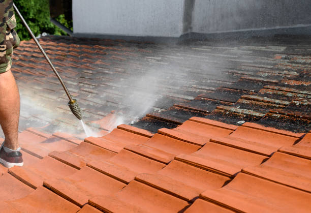 Best Pressure Washing Driveway  in Elroy, WI